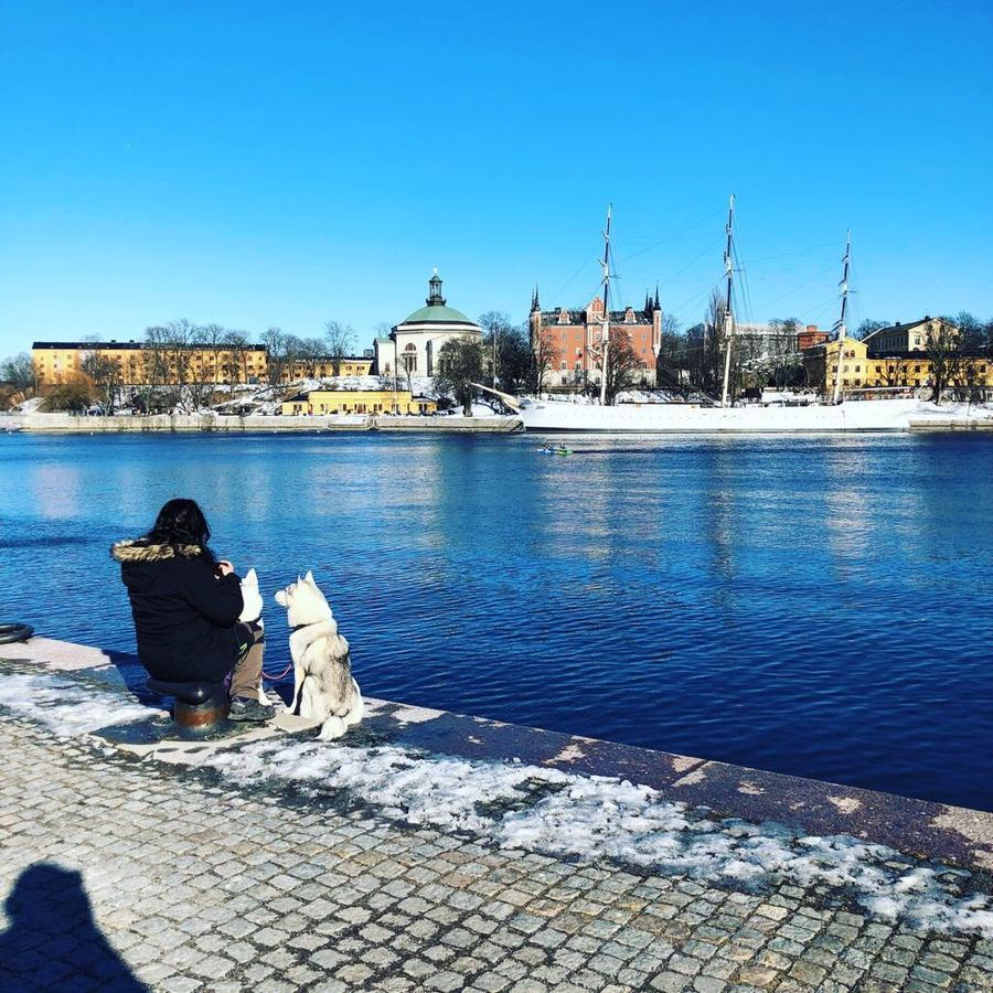Dockside Hostel Стокхолм Екстериор снимка
